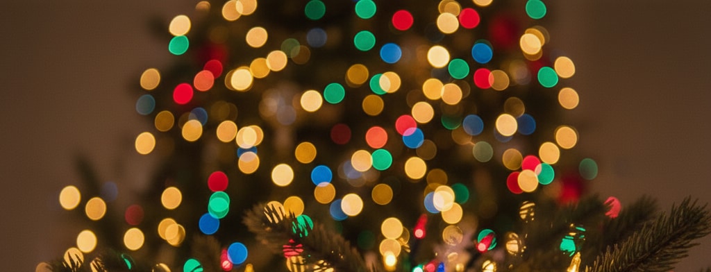 bokeh christmas lights Knoxville